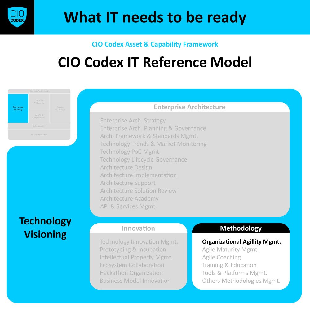 Organizational Agility Management