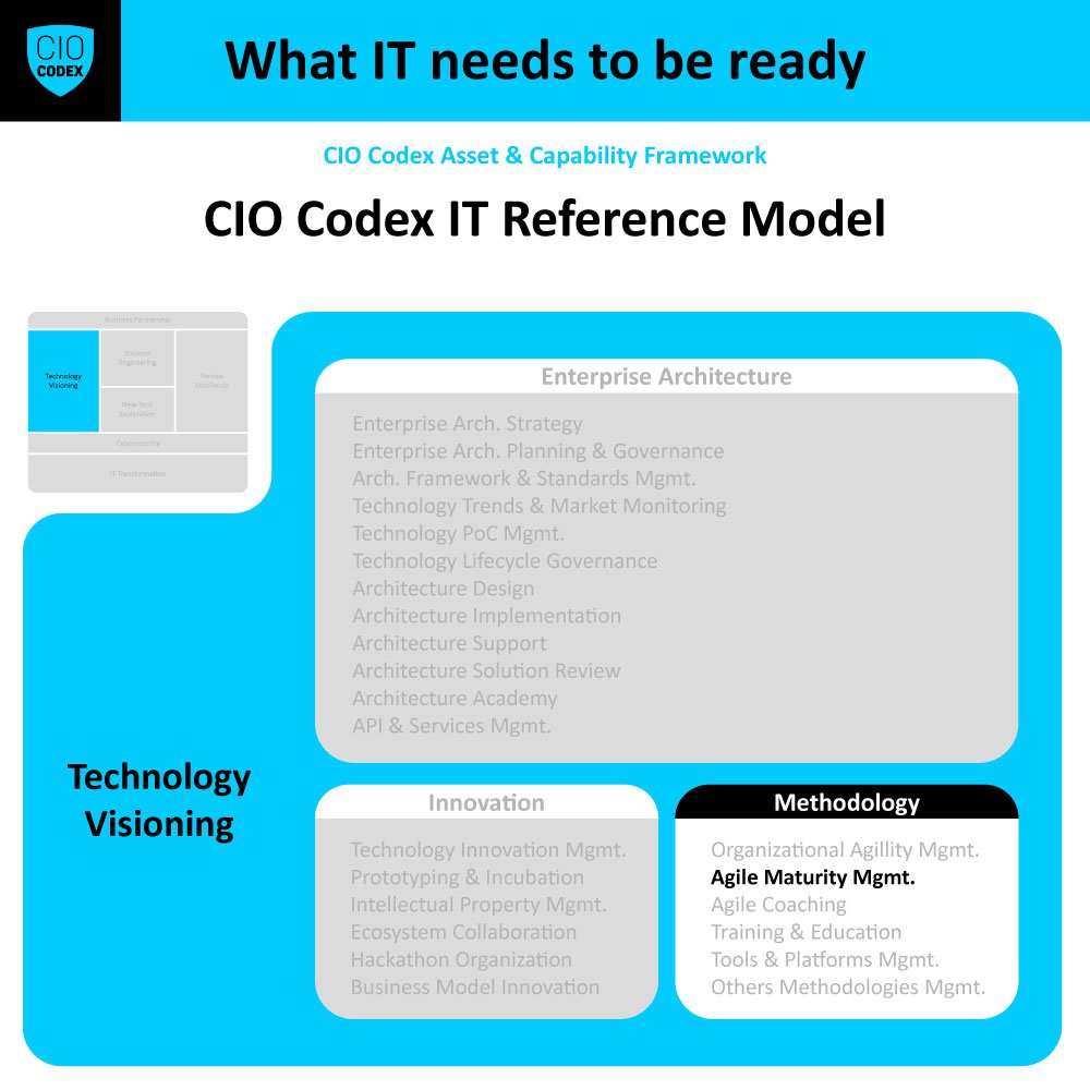 Agile Maturity Management